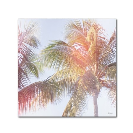 Sue Schlabach 'Dream Palm III' Canvas Art,18x18